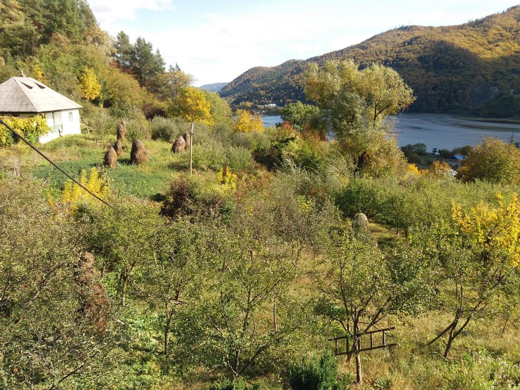 Casa Irina Villa Piatra Neamţ Exterior foto
